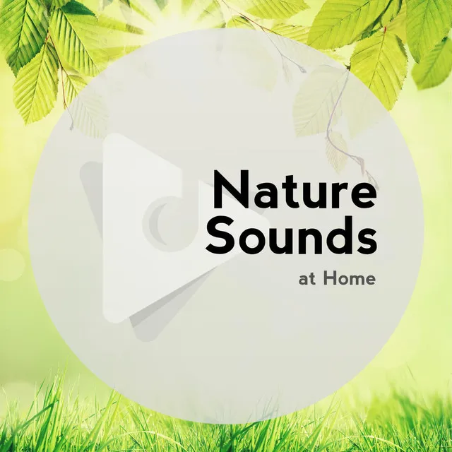 Nature Sounds At Home