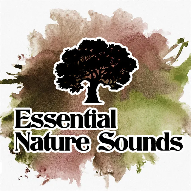 Essential Nature Sounds