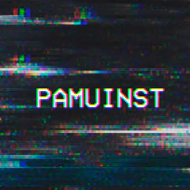 Pamuinst