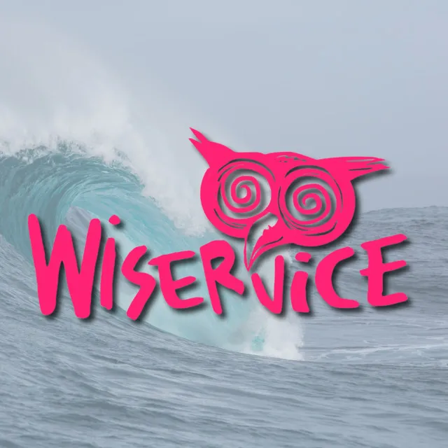 Wiservice