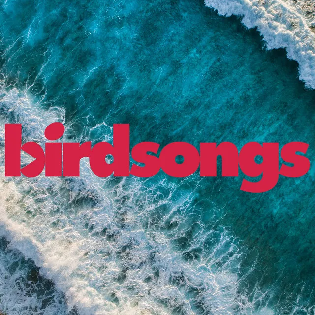 Birdsongs