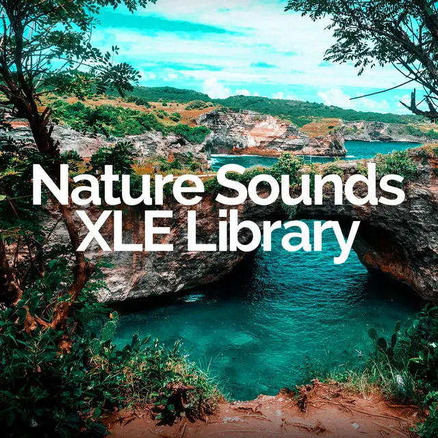 Nature Sounds XLE Library