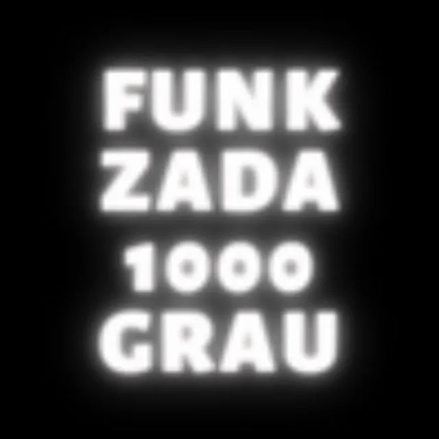 Funkzada1000grau