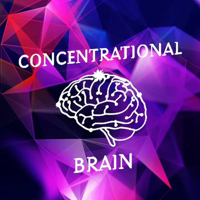 Concentrational Brain