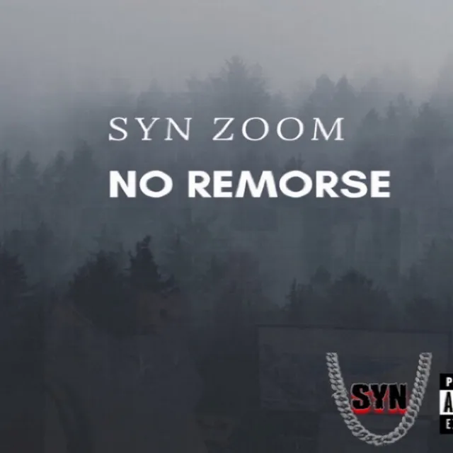 SYN Zoom