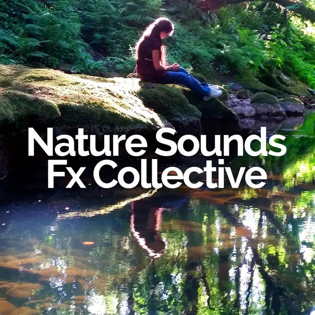 Nature Sounds Fx Collective