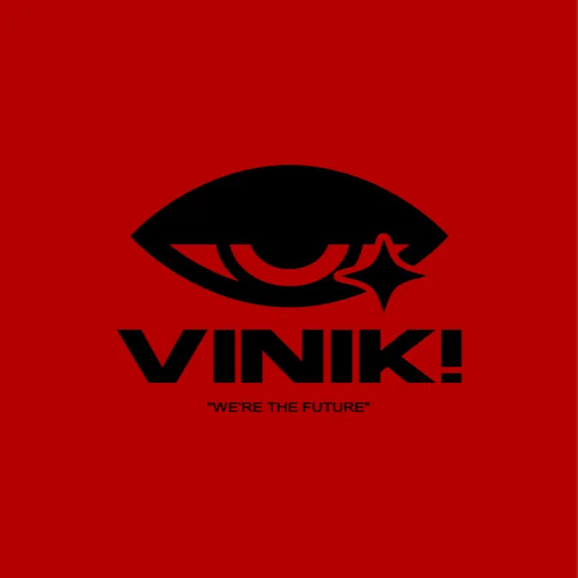 Vinik Project