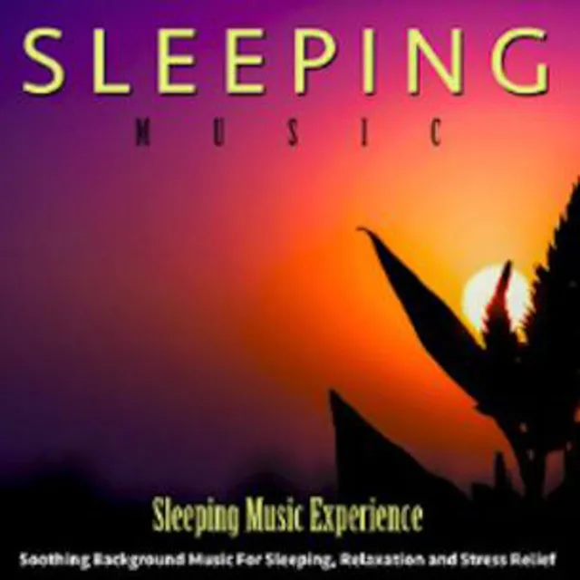 Sleeping Music Experience