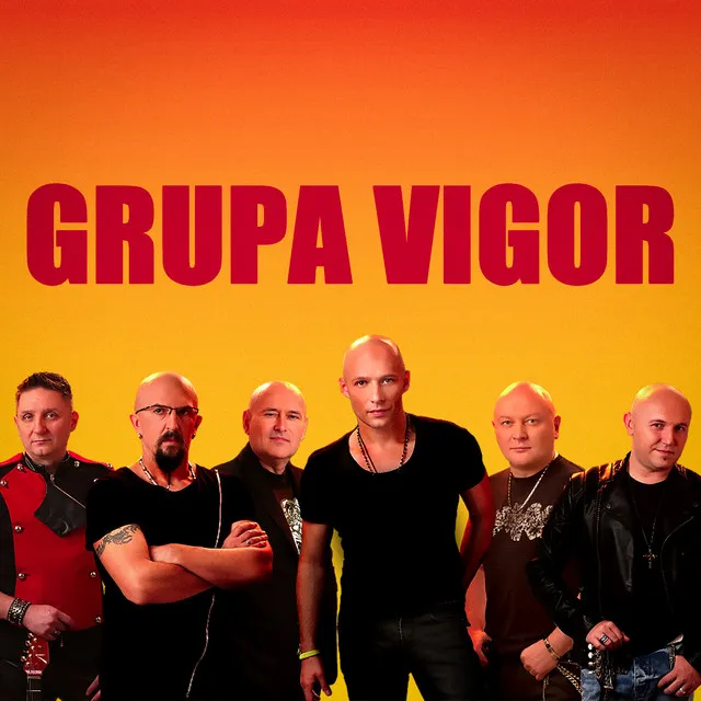 Grupa Vigor