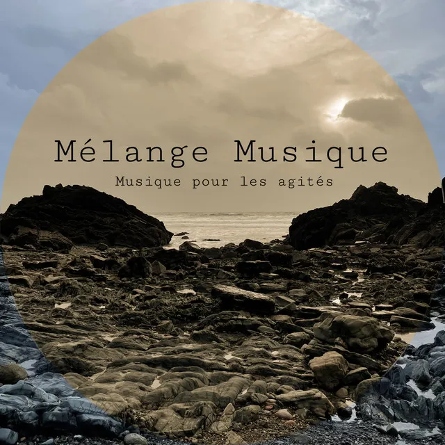 Mélange Musique