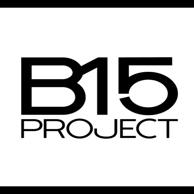 B15 Project