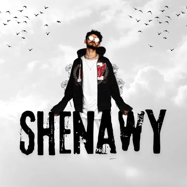 shenawy