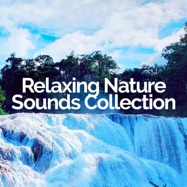 Relaxing Nature Sounds Collection