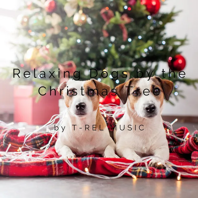 Relaxing Dogs by the Christmas Tree