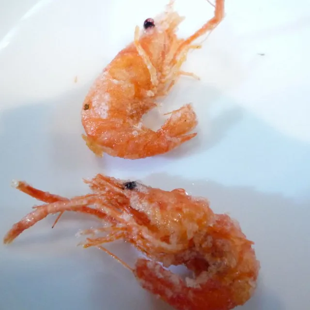 shrimp