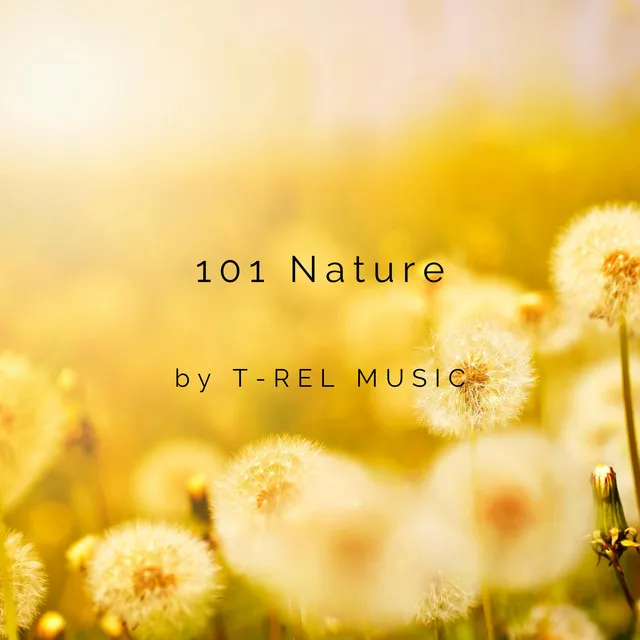 101 Nature