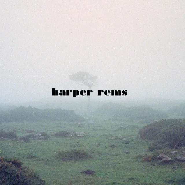 Harper Rems