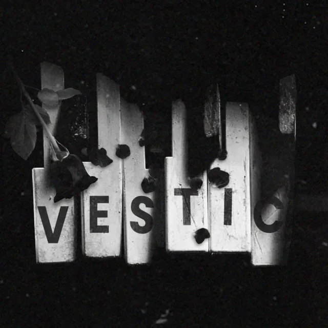 Vestic