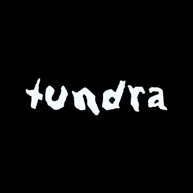 Tundra Vision