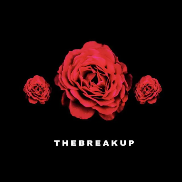 THEBREAKUP