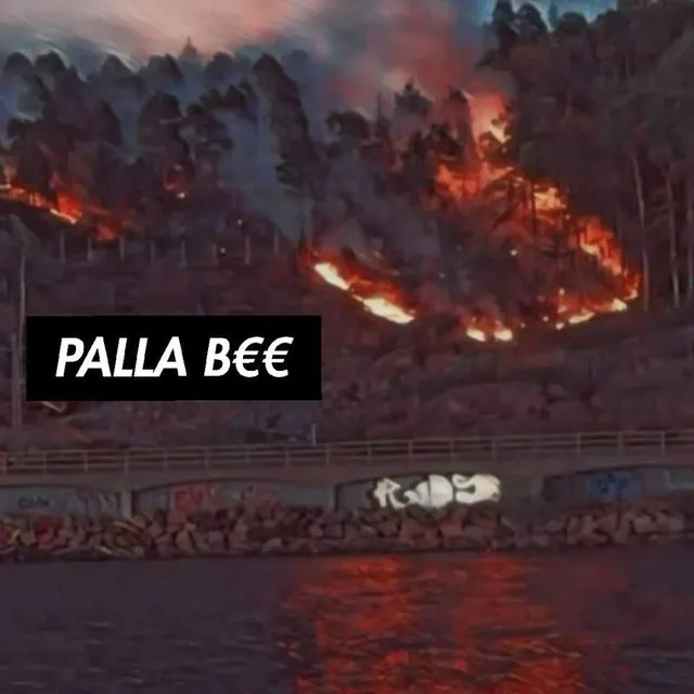 PALLA-BEE