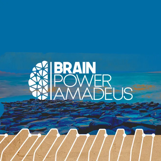 Brain Power Amadeus