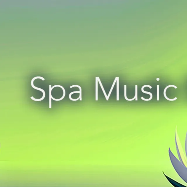 Spa Music Experience