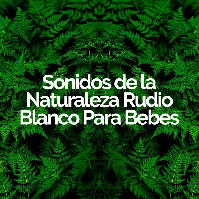 Sonidos de la Naturaleza Rudio Blanco Para Bebes