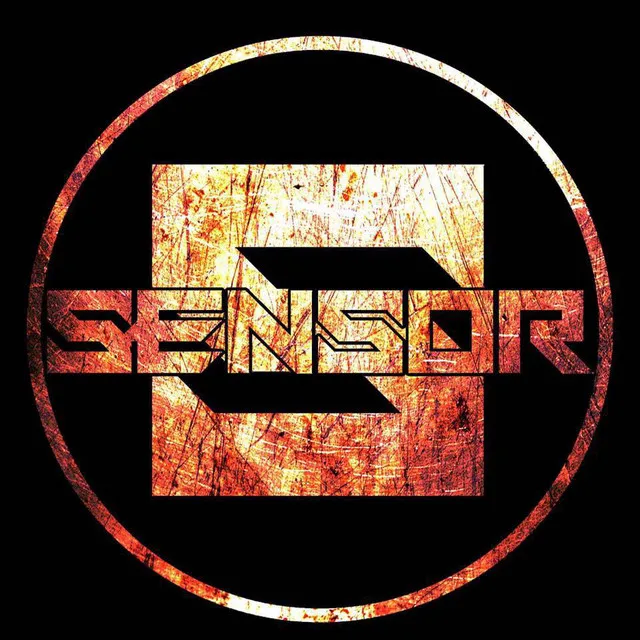 Sensor