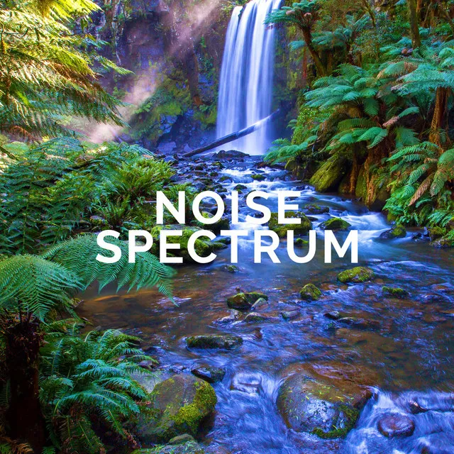 Noise Spectrum