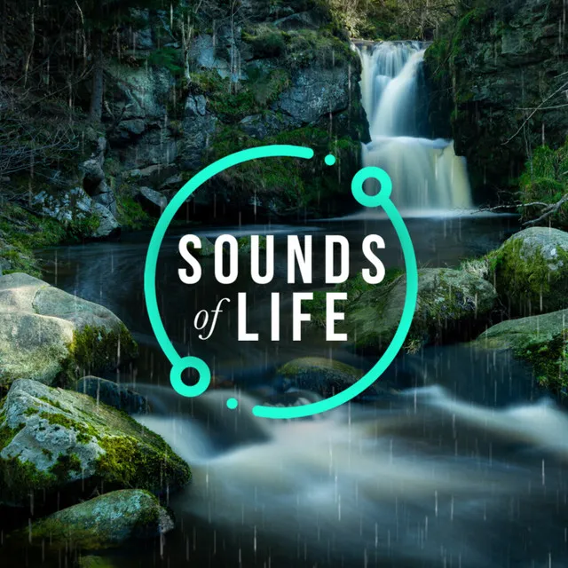 Sounds of Life