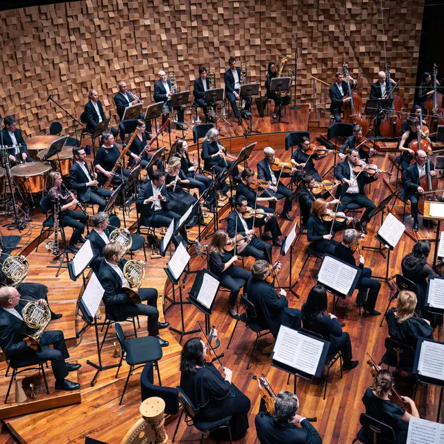 Tasmanian Symphony Orchestra