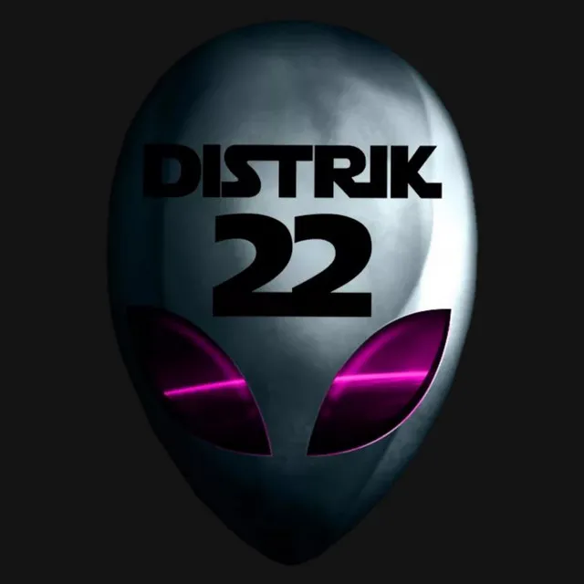 Distrik 22