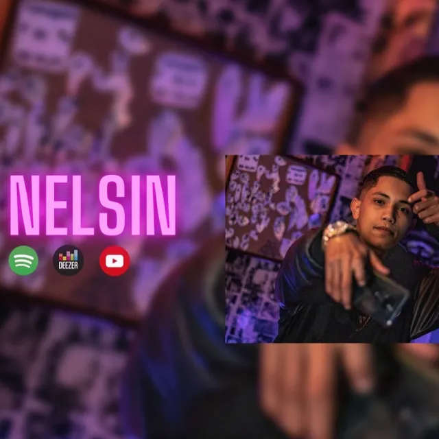 Nelsin