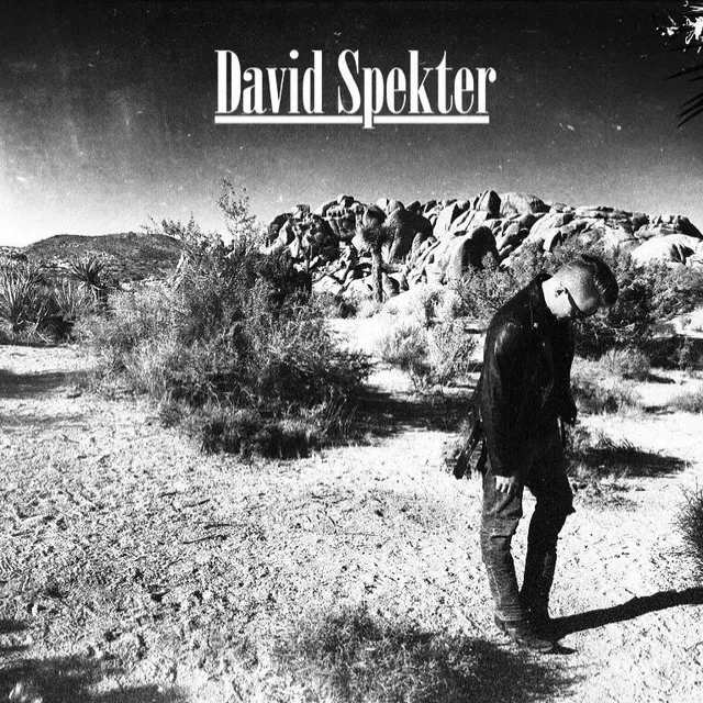 David Spekter