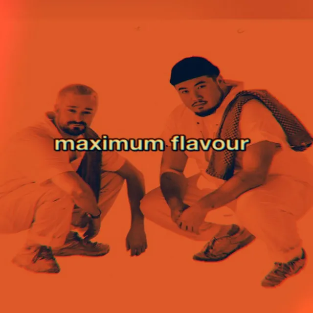 Maximum Flavour