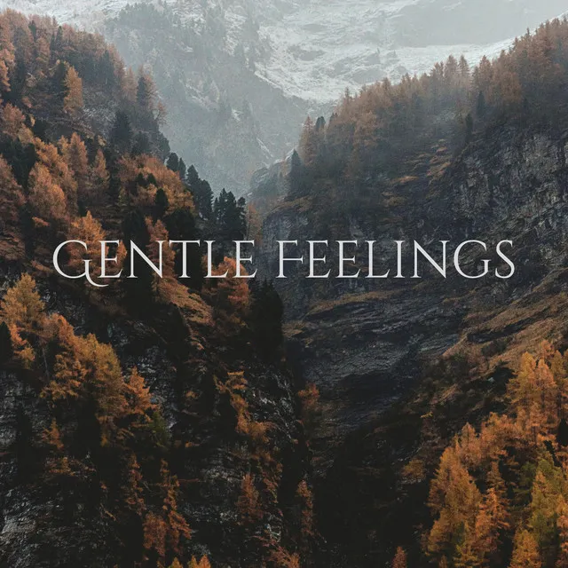 Gentle Feelings