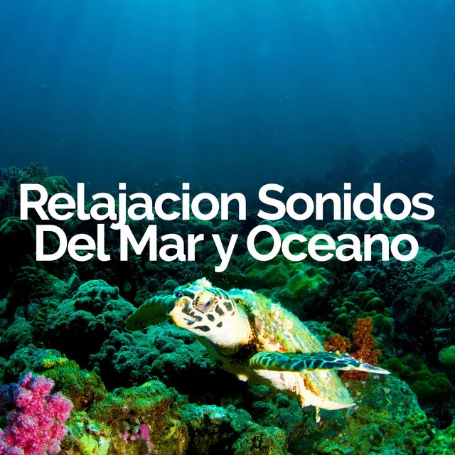 Relajacion Sonidos Del Mar y Oceano