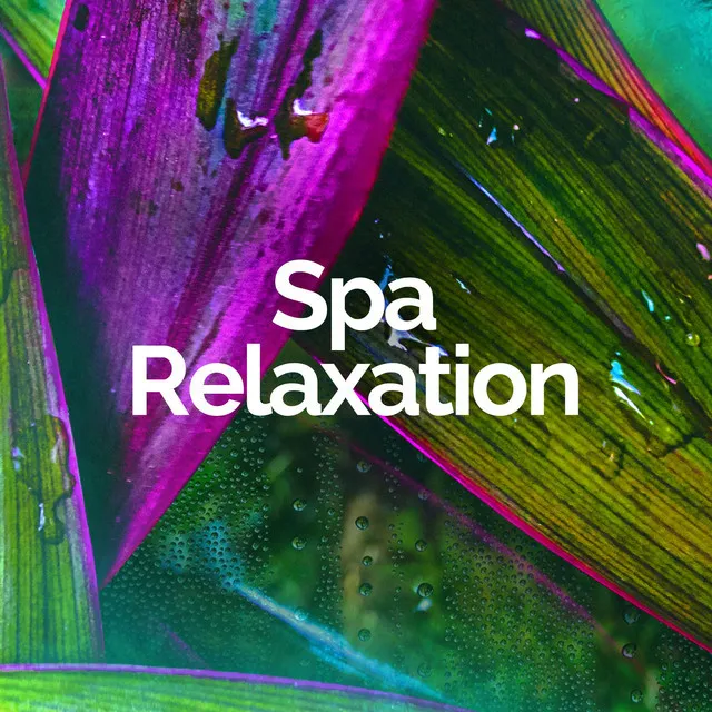 Spa Relaxation