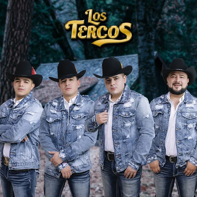 Los Tercos