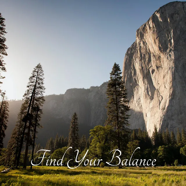 Find Your Balance