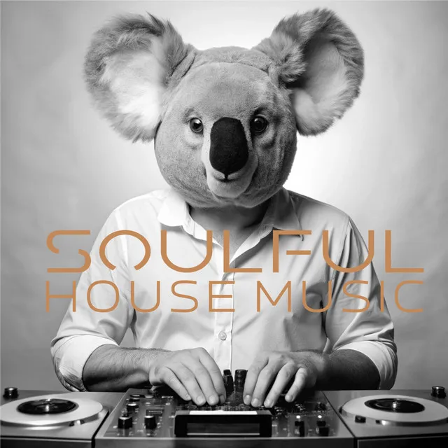 Soulful House Music