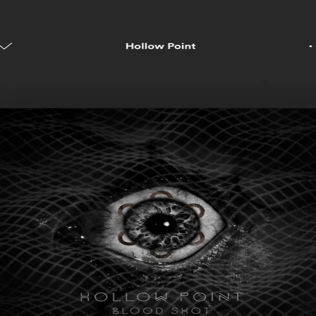 Hollow Point