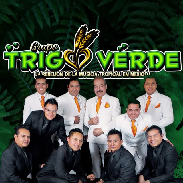 Grupo Trigo Verde