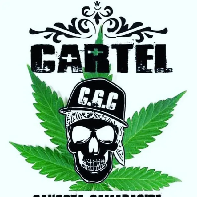 Cartel Gangsta Camaragibe