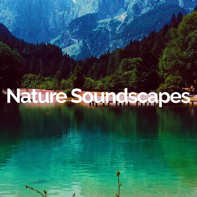 Nature Soundscapes