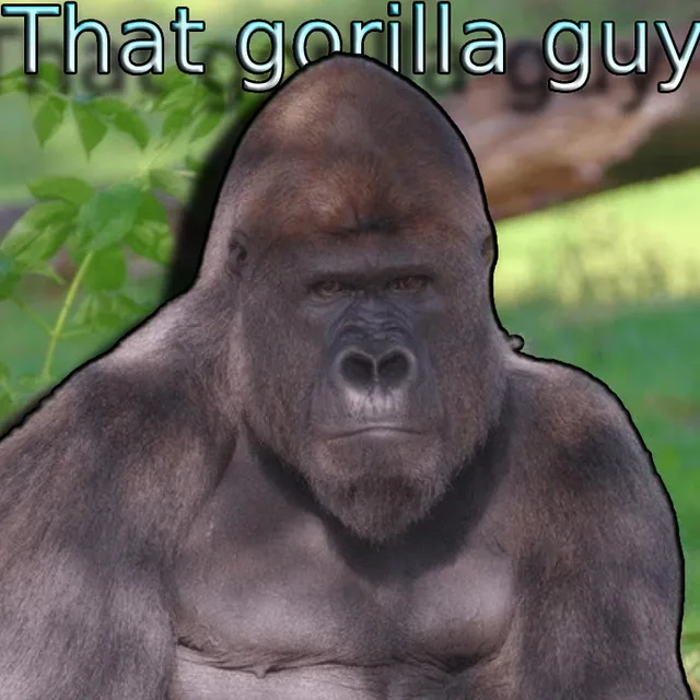 That Gorilla Guy