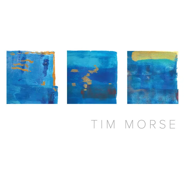 Tim Morse