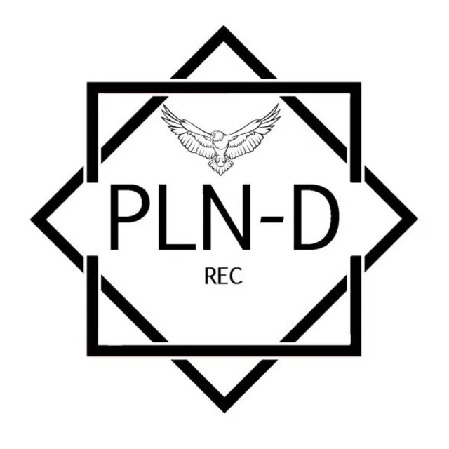 Plano-D Records