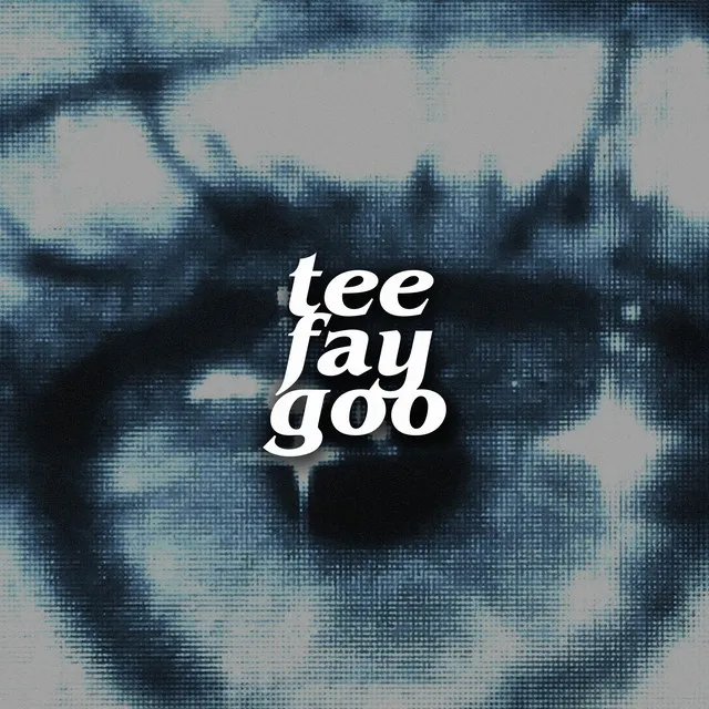 prod. teefaygoo